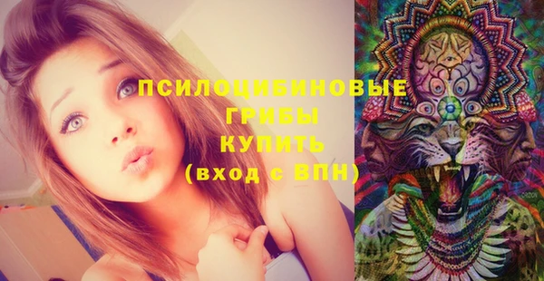 кокс Баксан