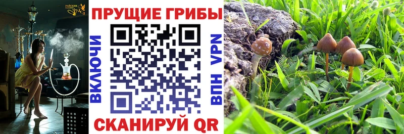 Галлюциногенные грибы Psilocybe  ОМГ ОМГ маркетплейс  Славск 